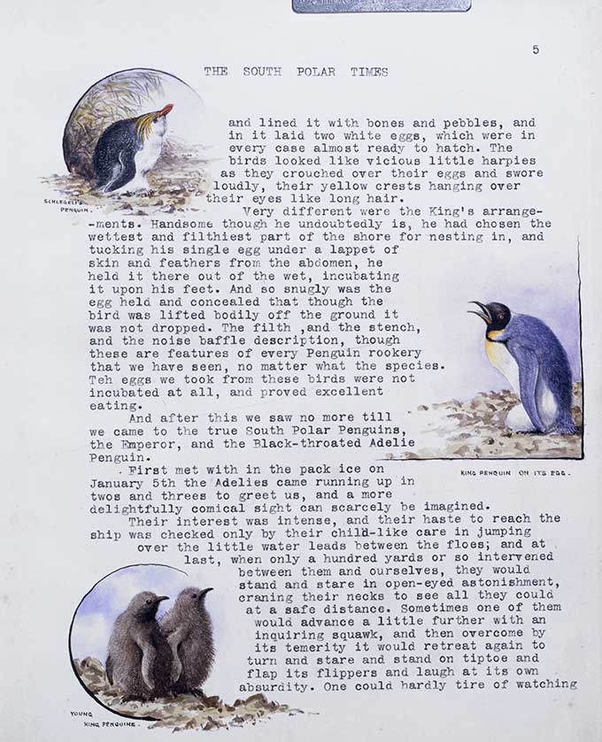 Some notes on Penguins, South Polar Times
