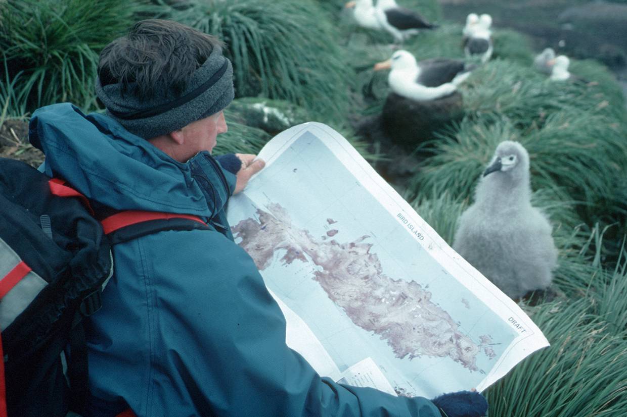 Mike Powell studying the BAS Bird Island map. © British Antarctic Survey, Miriam Lorwerth.