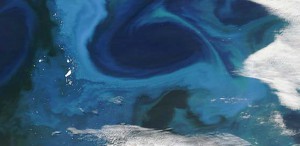 MODIS visible satellite image showing coccolithophore bloom in Southern Ocean