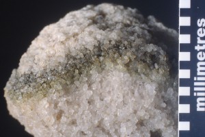 Cryptoendolithic unicellular algae inside Beacon Sandstone rock