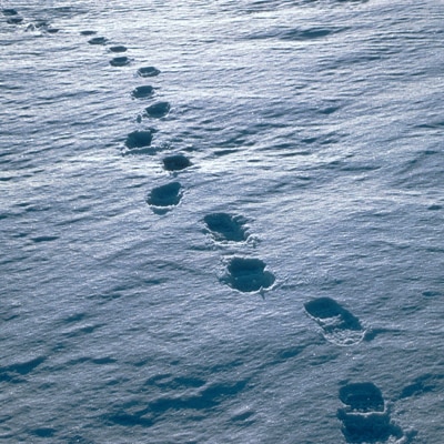 footprints in the snow