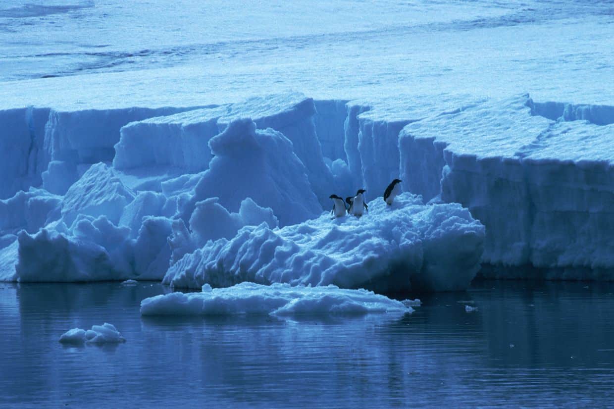 iceberg calving away from glacier