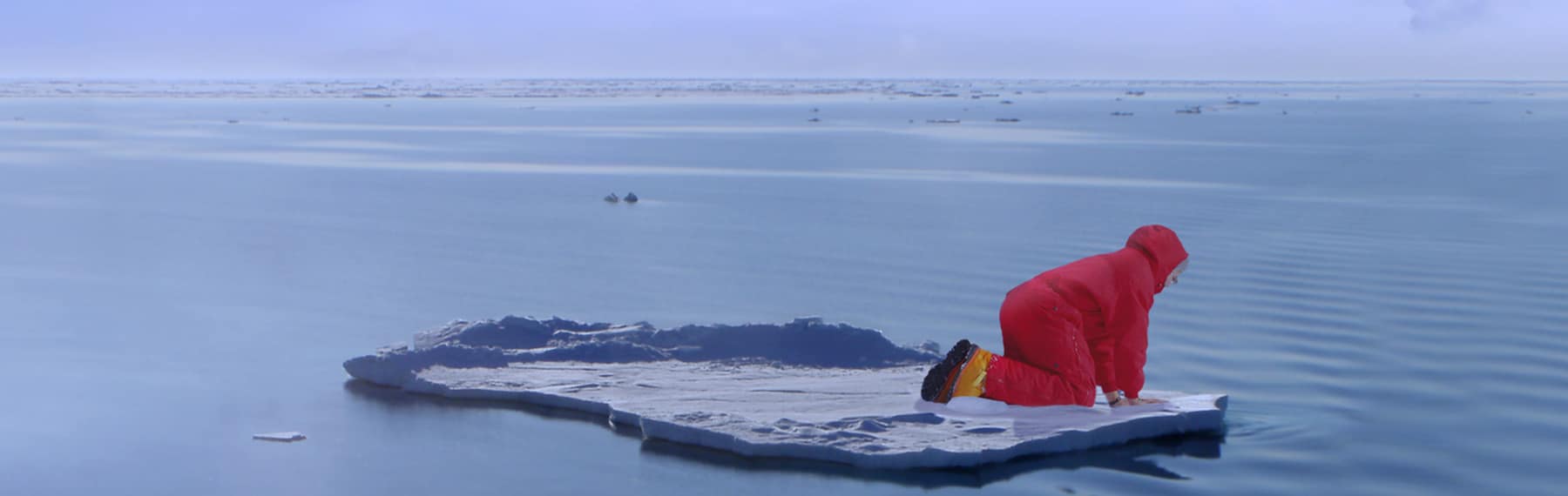 Impacts of climate change - Discovering Antarctica