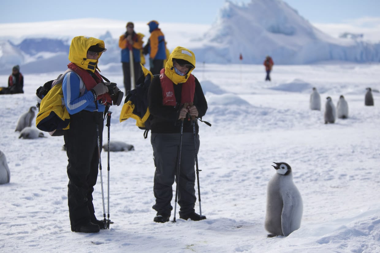 impact of tourism in antarctica