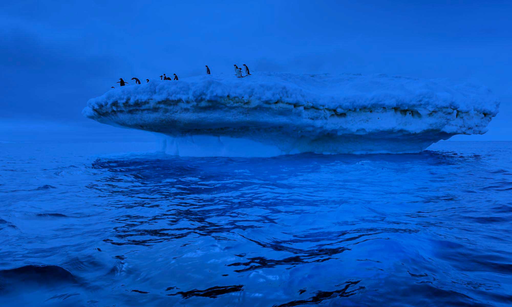Penguins on an iceberg in Antarctica